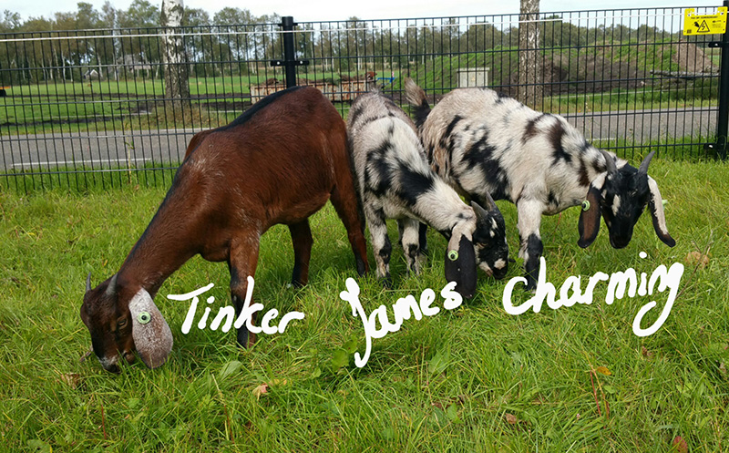 Tinker, James en Charming
