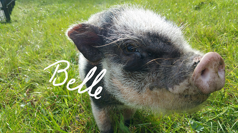 Belle